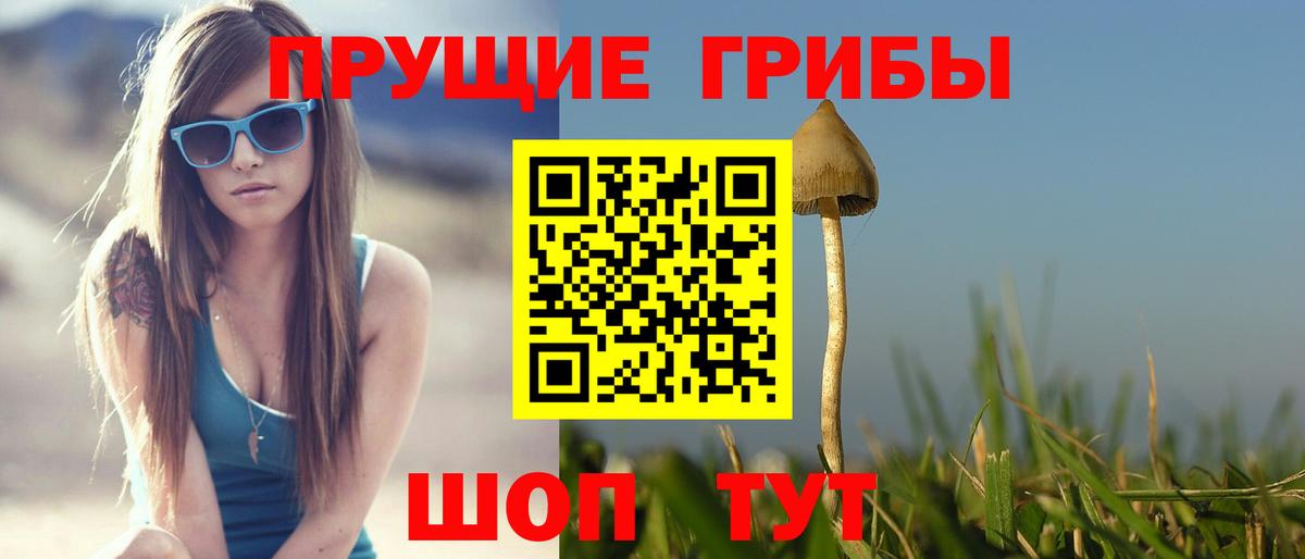 Галлюциногенные грибы Cubensis  Вход с VPN  Гуково 